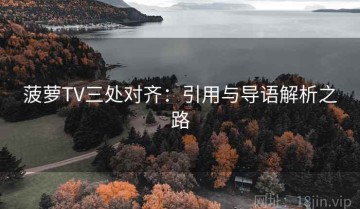 菠萝TV三处对齐：引用与导语解析之路